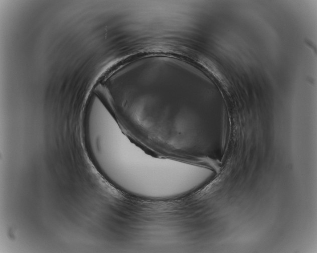 X0000097460984200803071627