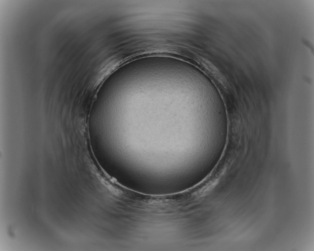 X0000097460985200803071627