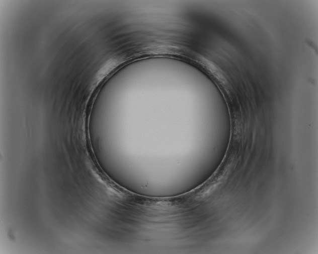 X0000097460986200803071627