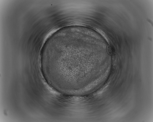 X0000097460987200803071627