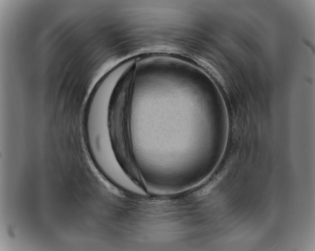 X0000097460989200803071627