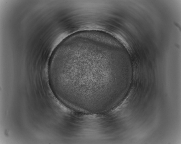 X0000097460990200803071627