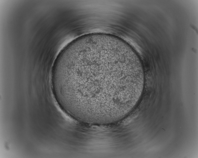 X0000097460991200803071627