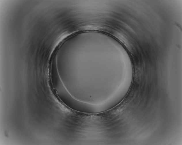 X0000097460992200803071627