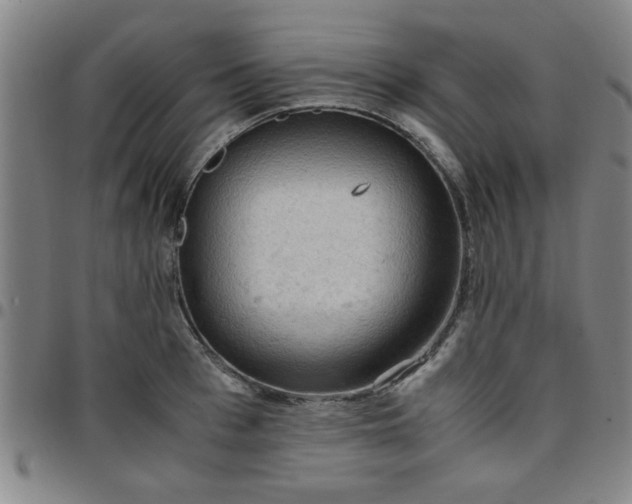 X0000097460993200803071627