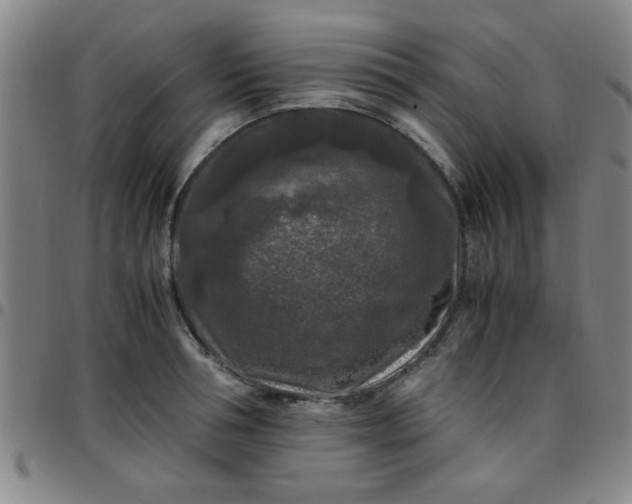 X0000097460994200803071627