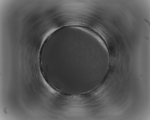 X0000097460995200803071627