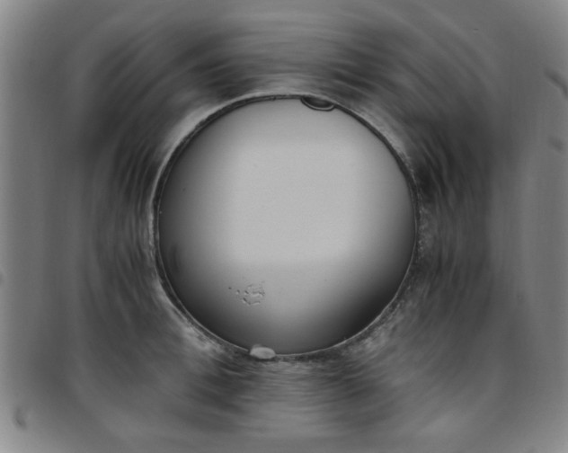 X0000097460996200803071627