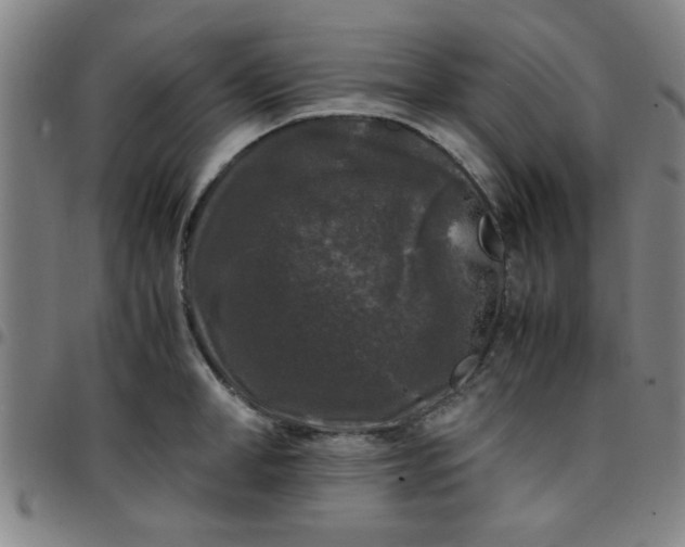 X0000097460998200803071627