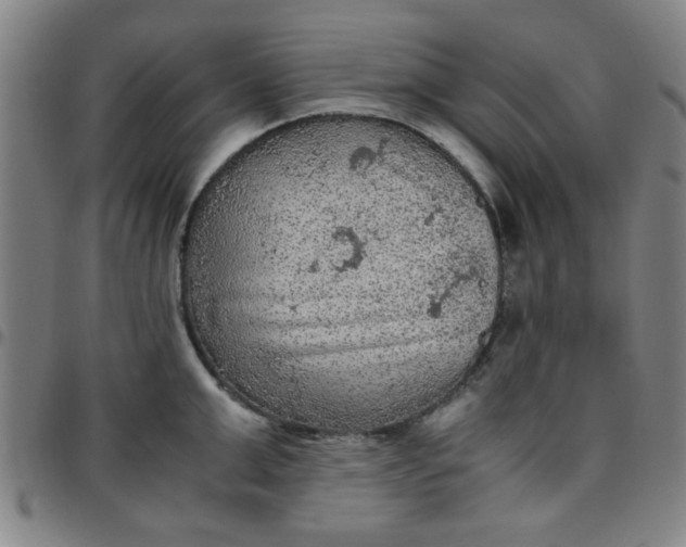 X0000097460999200803071627