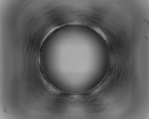 X0000097461000200803071627