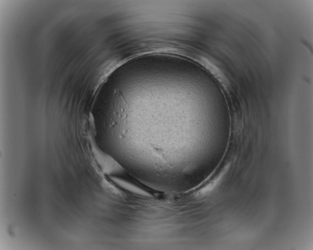 X0000097461001200803071627