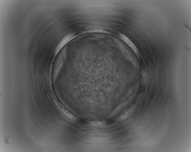 X0000097461002200803071627