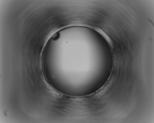 X0000097461004200803071627