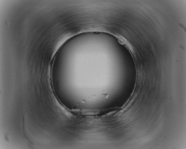 X0000097461006200803071627