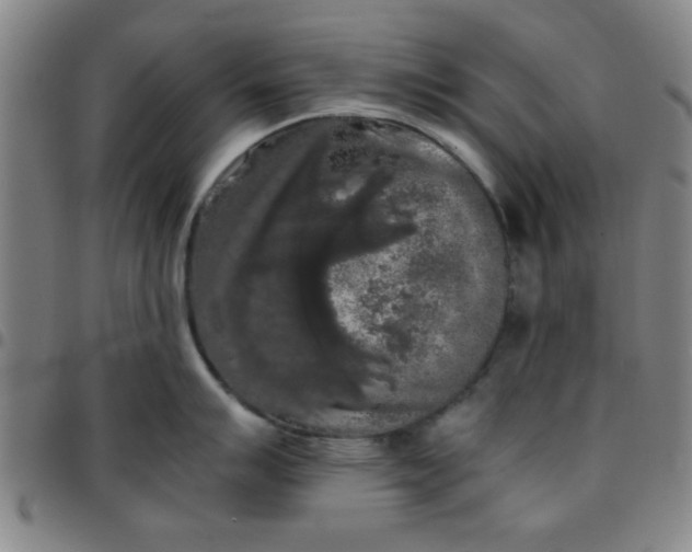 X0000097461007200803071627