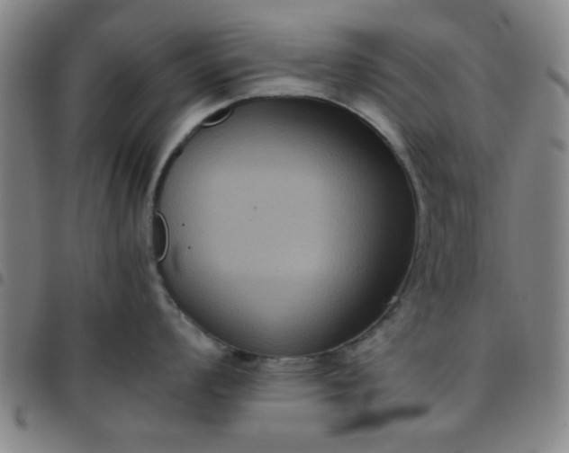 X0000097461008200803071627