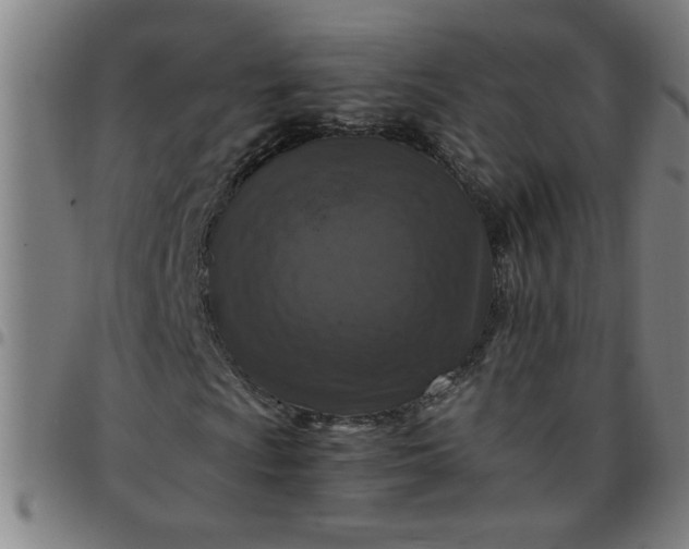 X0000097461009200803071626