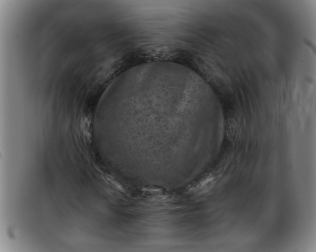 X0000097461010200803071626