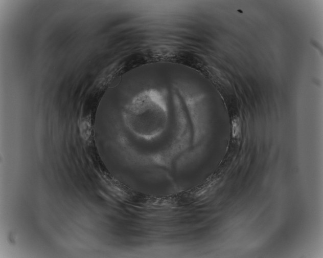 X0000097461011200803071626