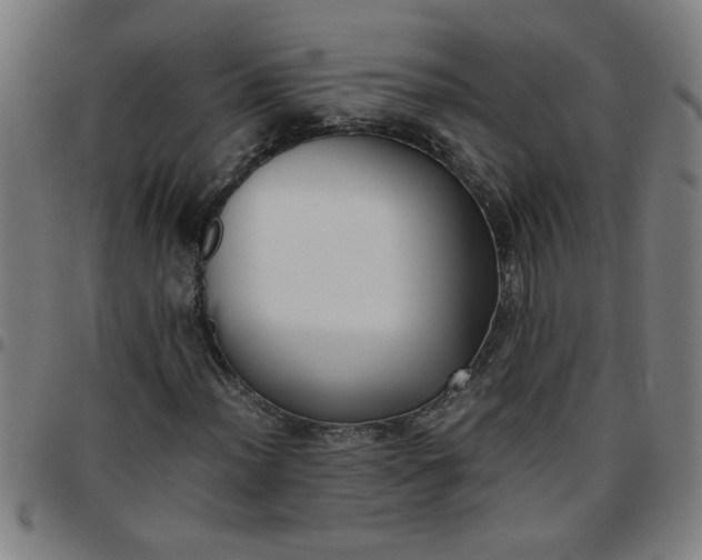 X0000097461012200803071626