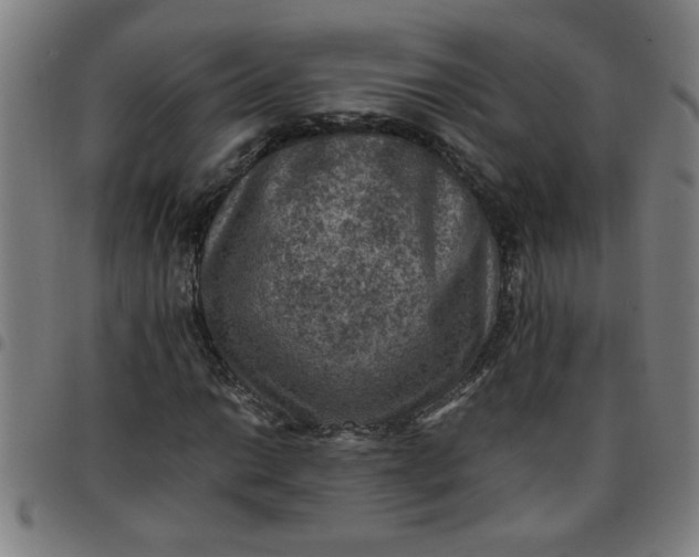 X0000097461014200803071626