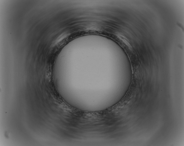 X0000097461015200803071626