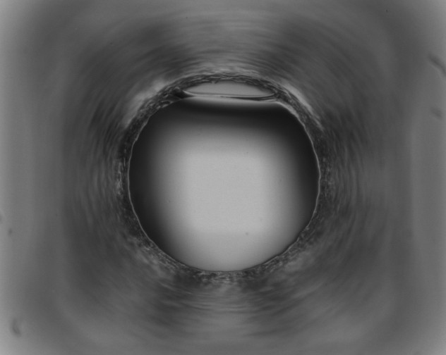 X0000097461016200803071626