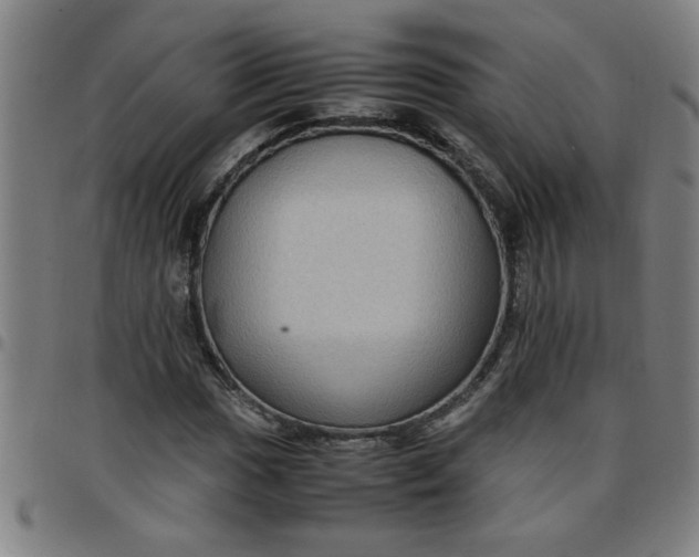 X0000097461017200803071626