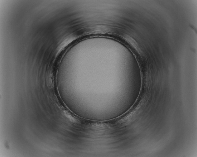 X0000097461018200803071626