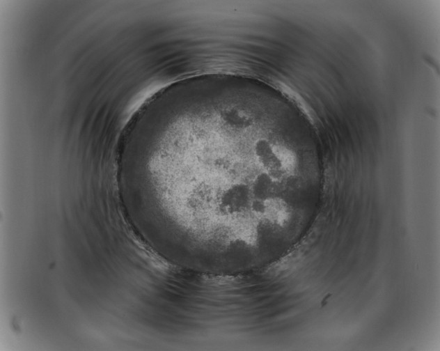 X0000097461019200803071626