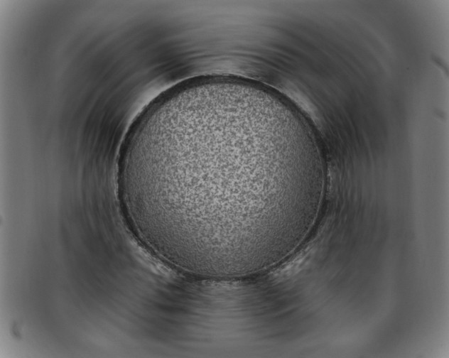 X0000097461020200803071626