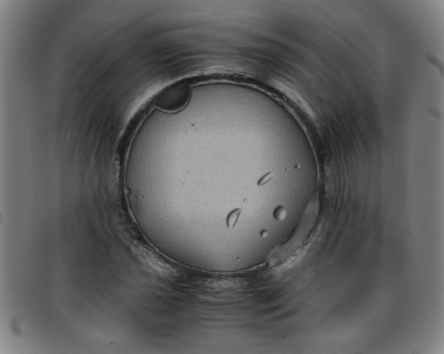 X0000097461021200803071626