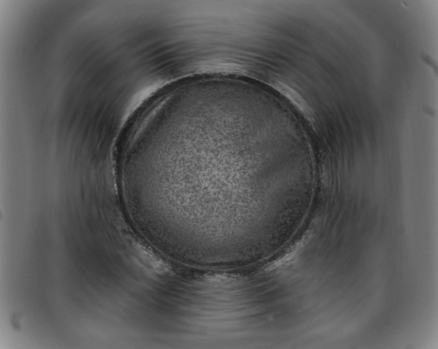 X0000097461022200803071626