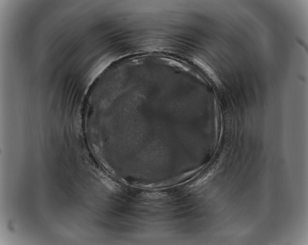 X0000097461023200803071626