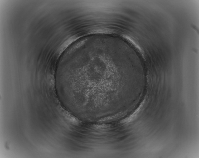 X0000097461025200803071626