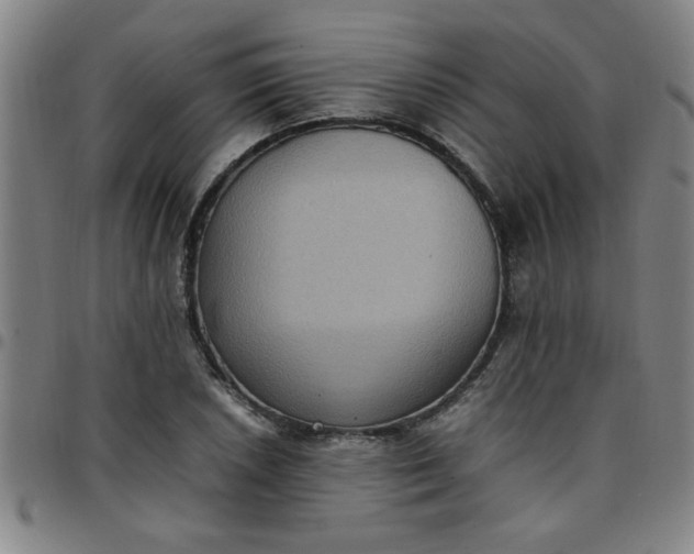 X0000097461026200803071626