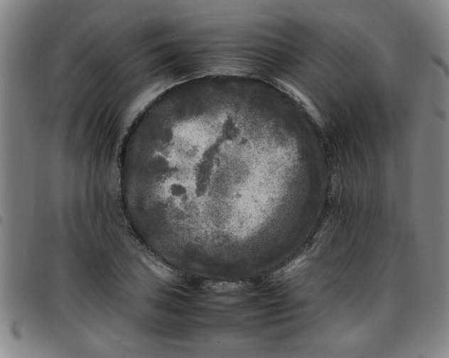 X0000097461027200803071626