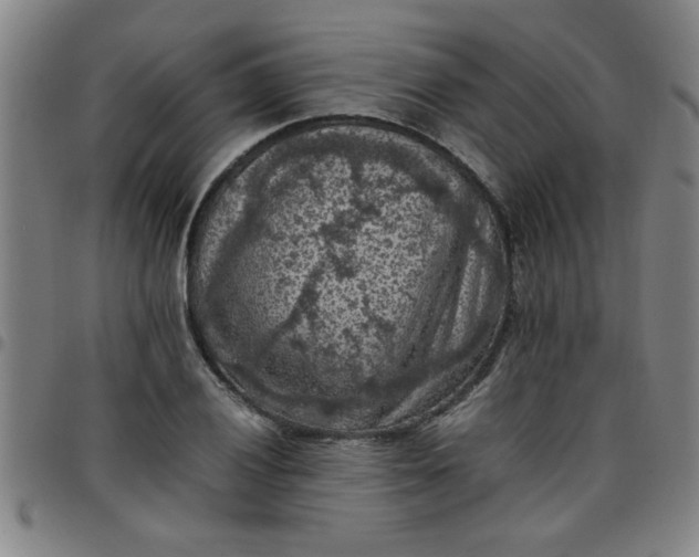 X0000097461028200803071626