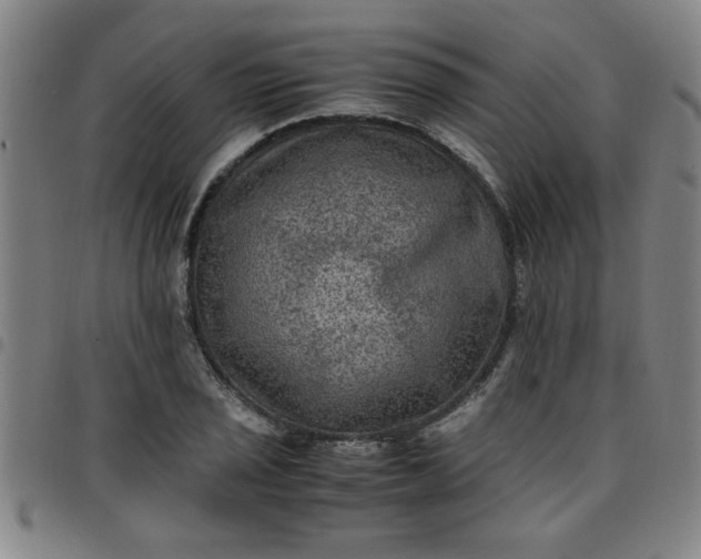 X0000097461029200803071626