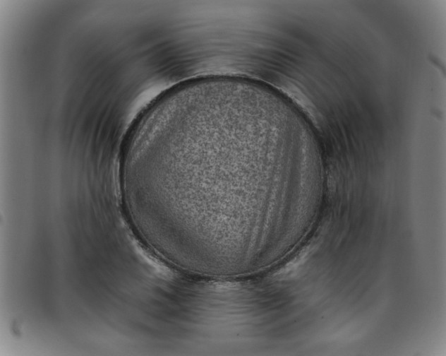 X0000097461030200803071626