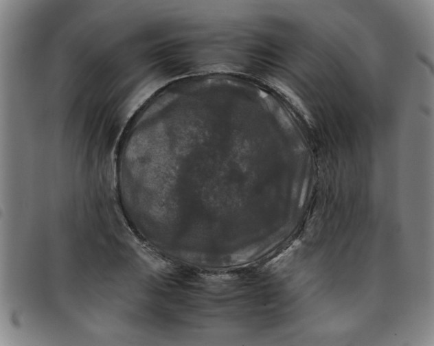 X0000097461031200803071626