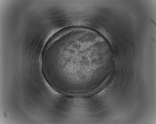 X0000097461032200803071627