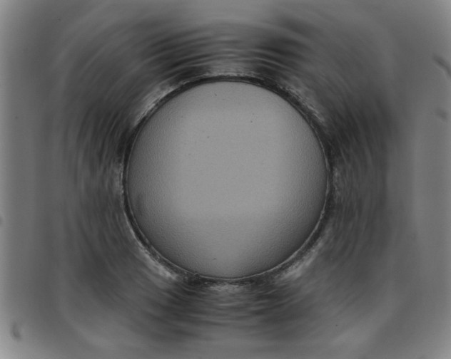 X0000097461033200803071627