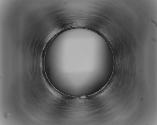 X0000097461034200803071627