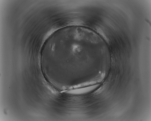 X0000097461035200803071627