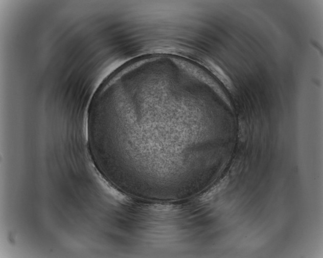 X0000097461036200803071627