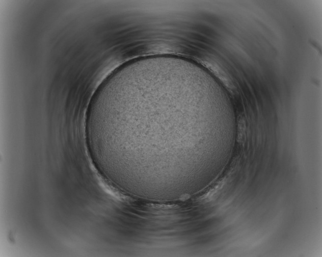 X0000097461039200803071627