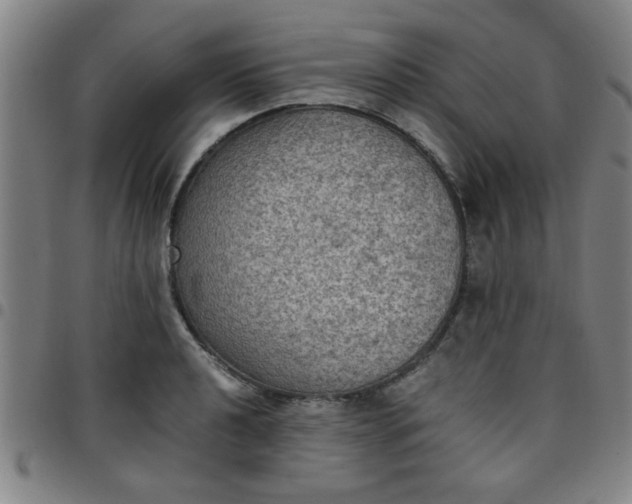 X0000097461040200803071627