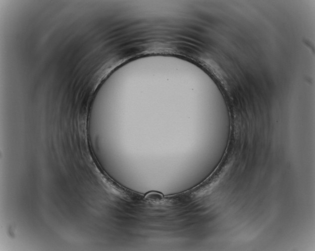 X0000097461041200803071627